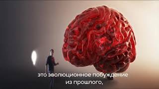 Отрывок фильма Отрывок фильма