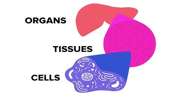 The Future of Toxicology (in Mandarin Chinese)