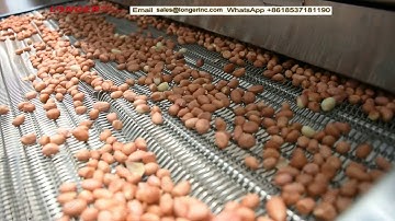 Continuous Nuts Roasting Machine Peanut Walnut Cashew Cocoa Bean Roaster