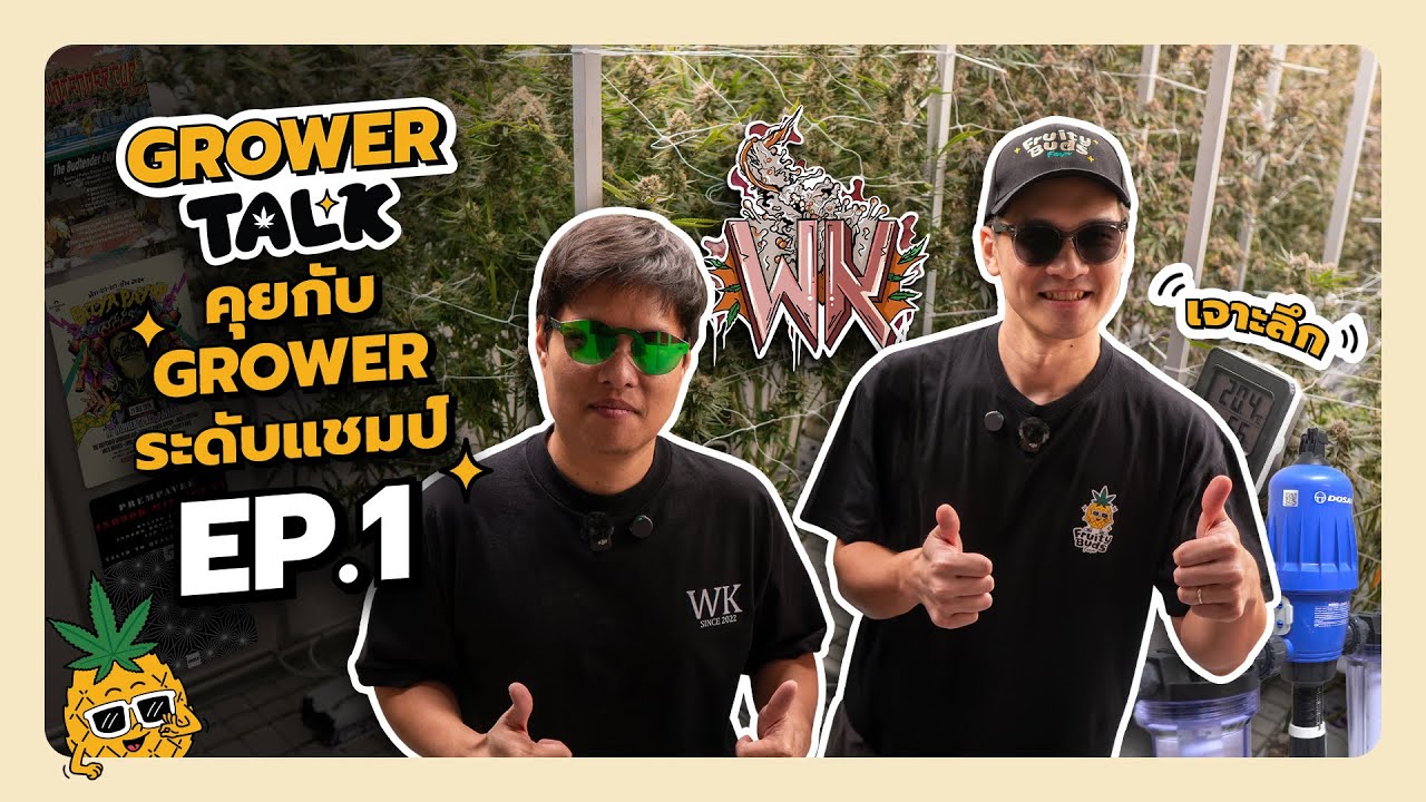 Grower Talk EP. 1 - เจาะลึกเทคนิคการปลูกระดับแชมป์สไตล์ WeedKub