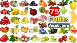 Fruits Vocabulary ll 75+ Fruits Name In English With Picture ll Learn English Vocabulary