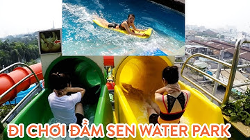 ĐƯA CÁC CHỊ NHÂN VIÊN ĐI CHƠI ĐẦM SEN NƯỚC