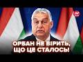 🤯ОРБАН вийшов З ІСТЕРИЧНОЮ ЗАЯВОЮ! Злили ТАКЕ, що всі ОСТОВПІЛИ. НЕ ПОВІРИТЕ, що сталось В УГОРЩИНІ