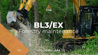 Forestry Mulcher for Excavator BL3/EX/VT - BL3/EX/SONIC | FAE S.p.A.