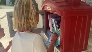 Little libraries across Utah can make a big difference