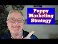 How To Sell Puppies! A Proven Marketing Strategy that Works!