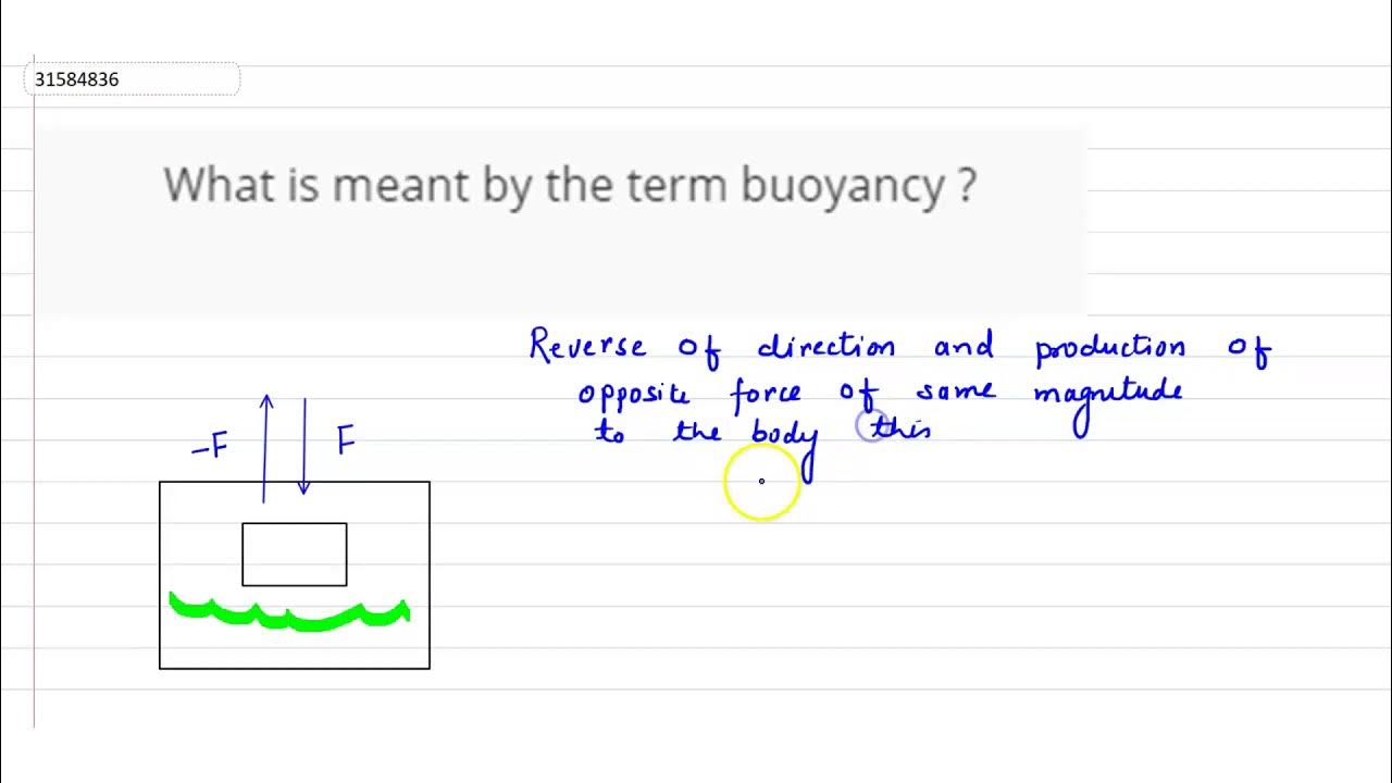 What is meant by the term buoyancy ? YouTube