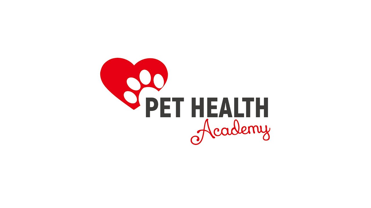 pf-pet-health-academy-ltd-youtube