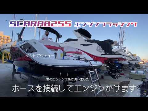 SCARAB 255フラッシング動画