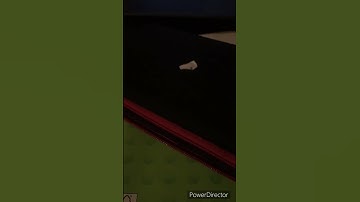 Nintendo switch case