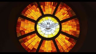 19-05-2024 | CAPUCHIN TV LIVE | Pentecost Sunday | Holy Family Basilica