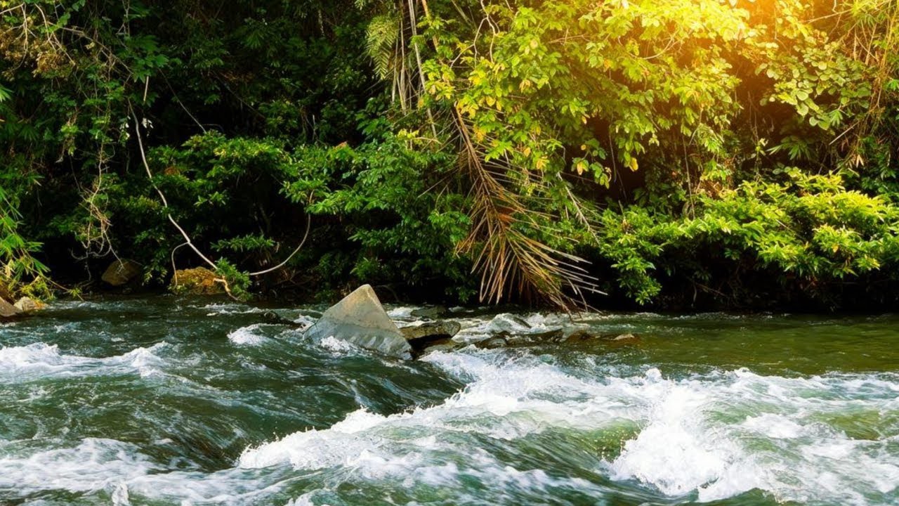 REAL RIVER SOUNDS WITH WIND, CALMING ASMR BACKGROUND FOR FOCUS & PEACE