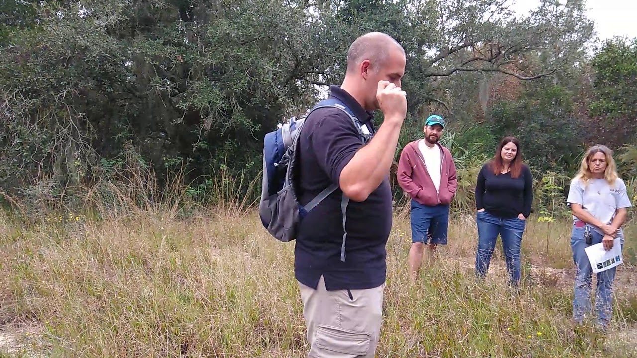 Prickly Pear Cactus - YouTube