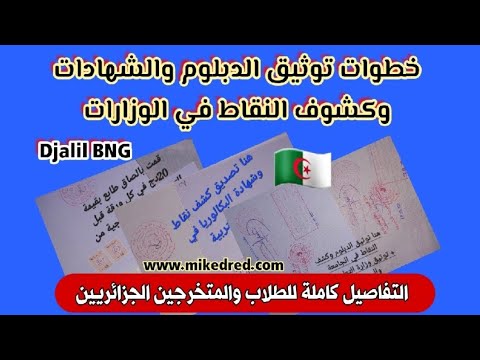 شرح خطوات توثيق الشهادات الجامعية والبكالوريا في الجزائر في وزارة التعليم العالي والتربية والخارجية