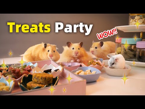 Mini Snack Büfe ile Sürpriz Hamster /Surprising my Hamsters with a Mini Treats Buffet