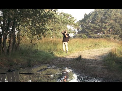 Video: Hoe Mooi Om Swanger Vroue In Die Natuur Te Fotografeer