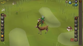 Sunrise antelope hunting on OSRS mobile