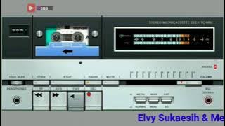 Elvy Sukaesih & Meggy.z - Berjanji