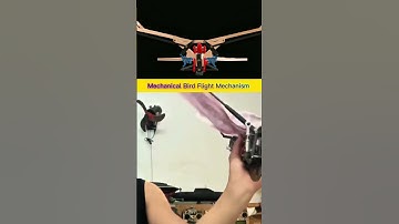 Mechanical Bird Flying Mechanism Using Linkages to Create Realistic Flapping Wings Motion Model Demo