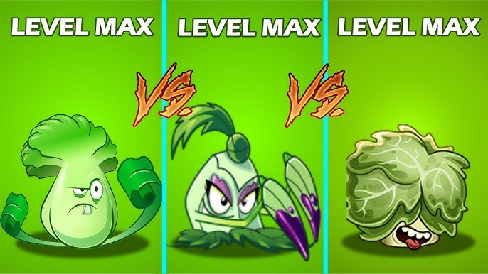 La imagen debe mostrar el chayote