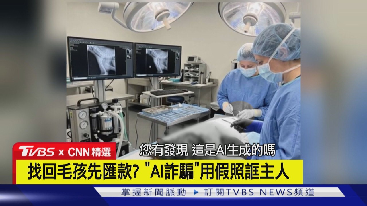 【CNN精選】找回毛孩先匯款? 新型「AI詐騙」 傳假手術照誆寵物主人｜TVBS新聞 @TVBSNEWS01