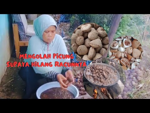 Resep Masakan Kluwek Muda