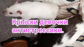 :      .