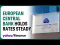 European Central Bank holds interest rates steady at 4%