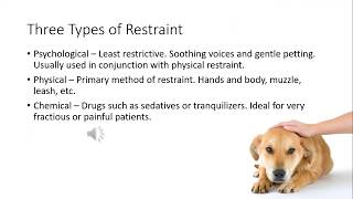 Canine and Feline Behavior and Restraint for Veterinary Assistants