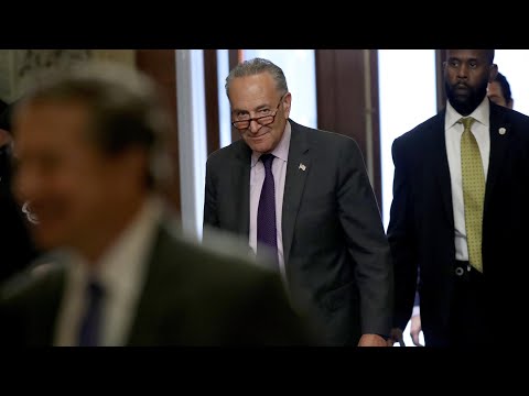 Republican effort to repeal Obamacare ‘a ruse’, says Chuck Schumer – video - Republican effort to repeal Obamacare ‘a ruse’, says Chuck Schumer – video