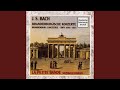Miniature de la vidéo de la chanson Brandenburg Concerto No. 2 In F Major, Bwv 1047: Ii. Andante