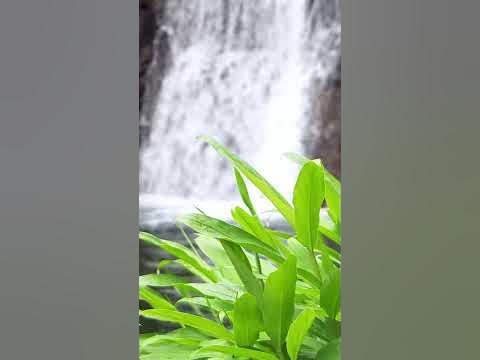 4k Video - Beautiful Aesthetic Waterfall - Vertical Video 