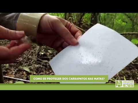 Vídeo: Como Se Proteger De Carrapatos No Campo E Na Floresta