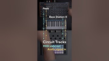 How to make music without a computer, DAWless music creation with Circuit Tracks - PART 1