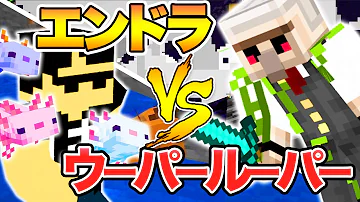 ウーパールーパーマイクラドズル
