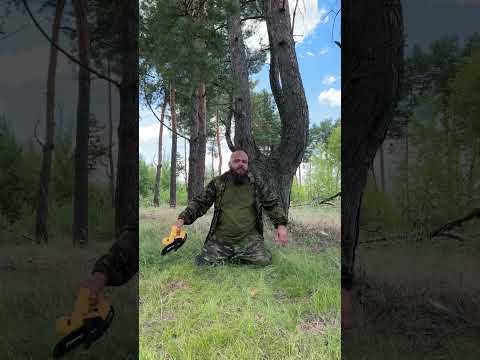 Как я охочусь на медведя