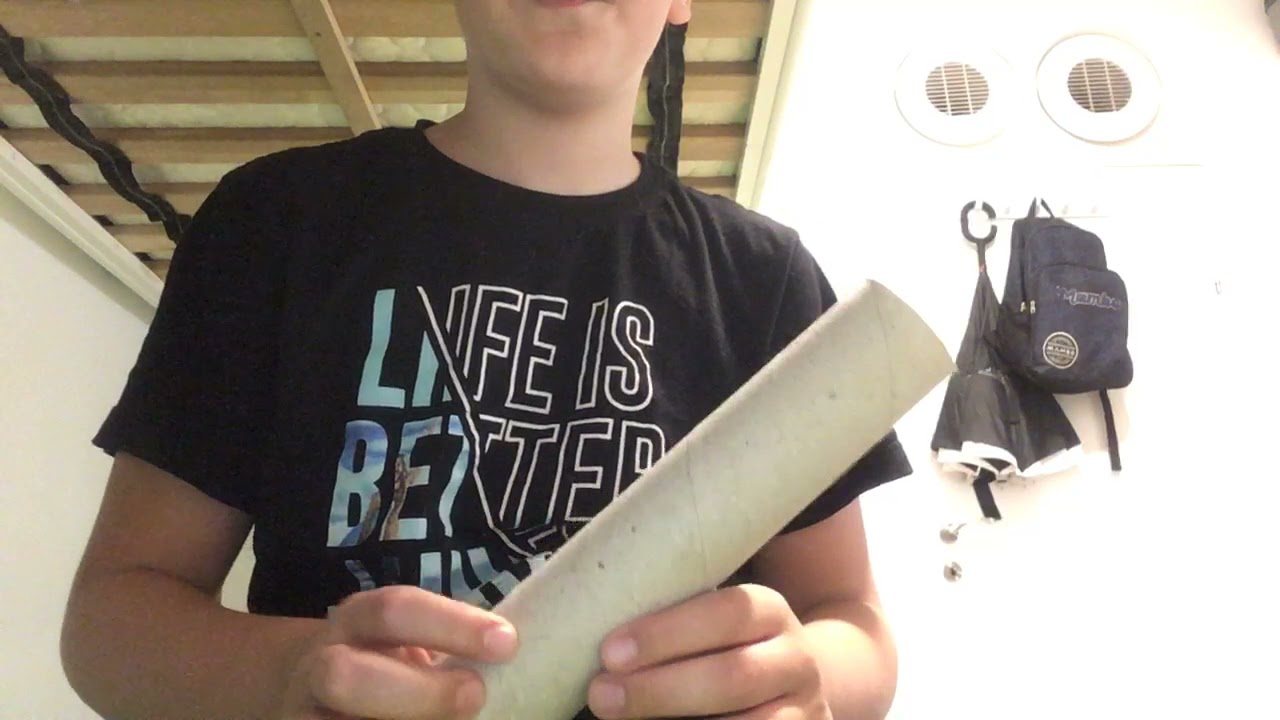 Lion Roaring Sounds At Home With Just A Tube Of Paper Towels Very Easy Not Clickbait Youtube