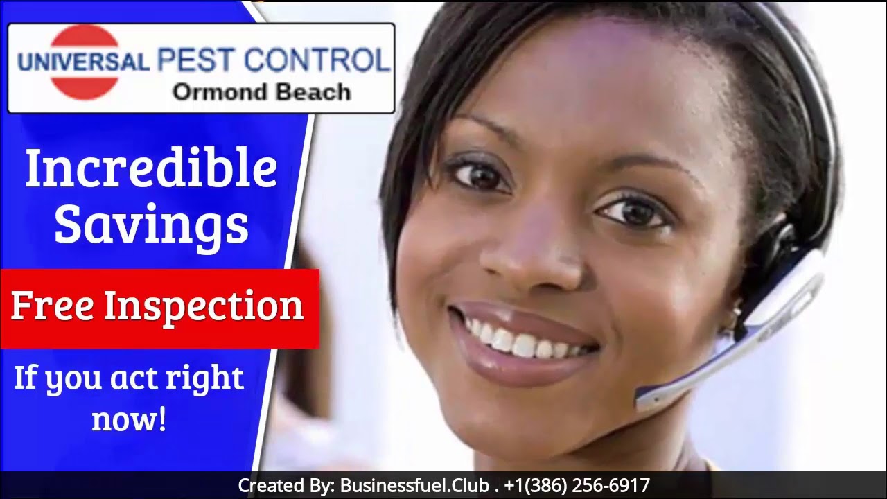Pest Control An Outstanding Opportunity In Deltona! YouTube