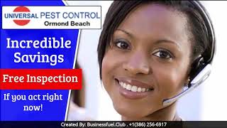 Pest Control: An Outstanding Opportunity In Deltona!