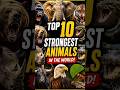 Top 10 Strongest Animals #ytshorts #shorts #shortsfeed