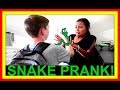 SNAKE PRANK! | SKUNK!