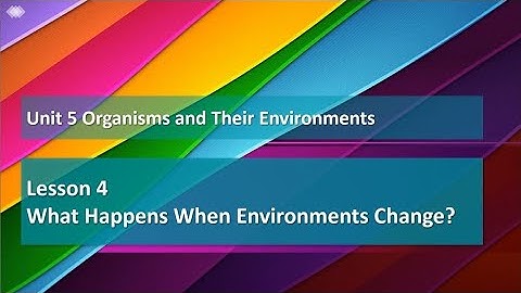 Unit 5 Lesson 4 Exploration 3