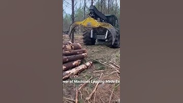 Heavy Machine in Action: Timber Loading Like a Beast