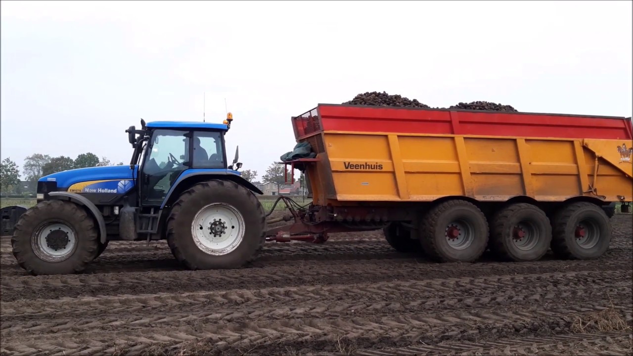 AARDAPPELS ROOIEN IN THE MUD! NH-Fendt-MF-AVR-Grimme