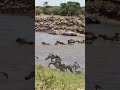 Great Migration Africa 