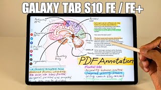 How to Annotate PDF Files &amp; taking Notes in Samsung Galaxy Tab S10 FE/FE+ With S Pen