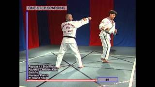 Green Belt One Step Sparring