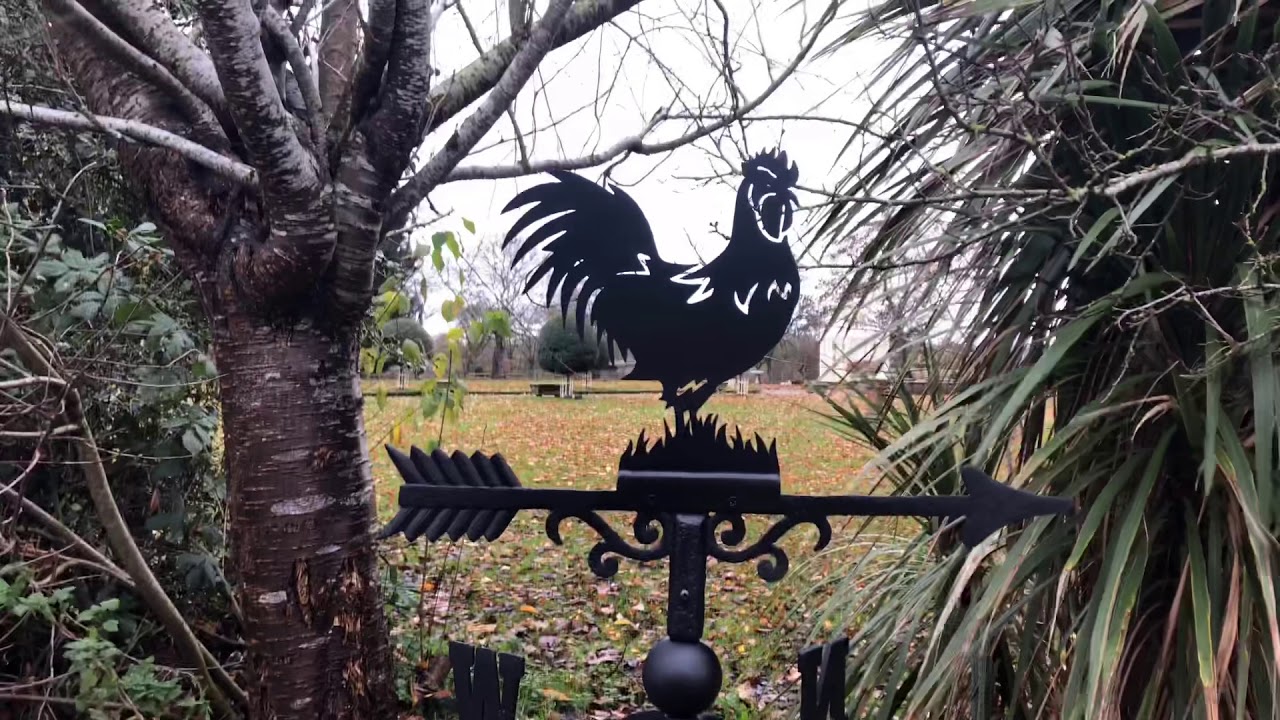 Deluxe Rooster Weathervane camera iphone 8 plus apk