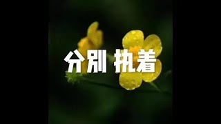 201801 分别 执着23082