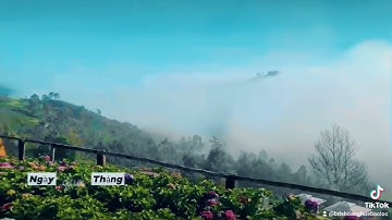 View săn mây triệu đo Đại Lào, Bảo Lộc Lâm Đồng.